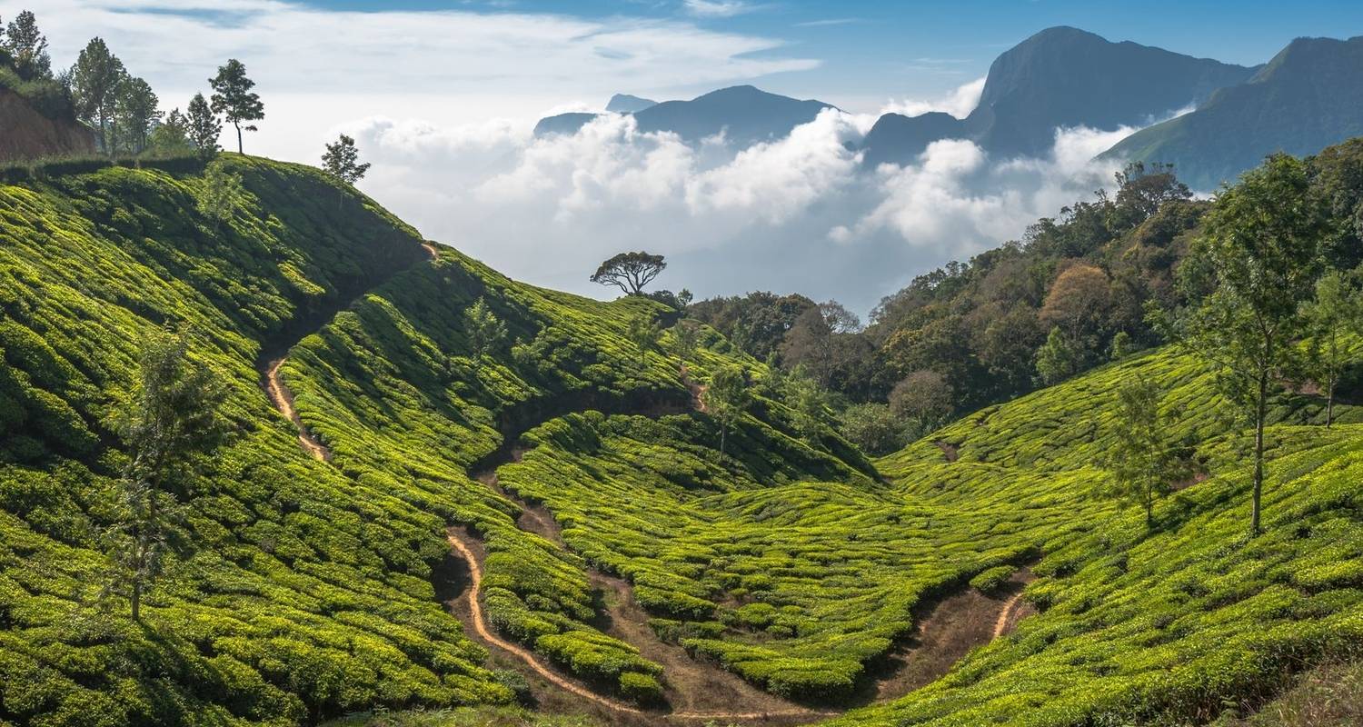 Golden Triangle With North East Tour