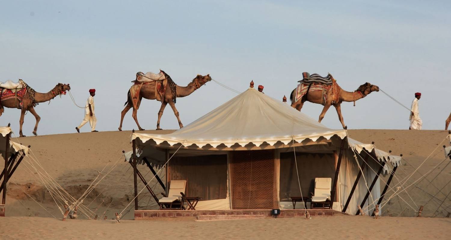 North India Family Holiday