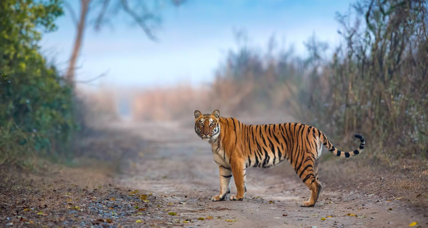 Rajasthan Highlights