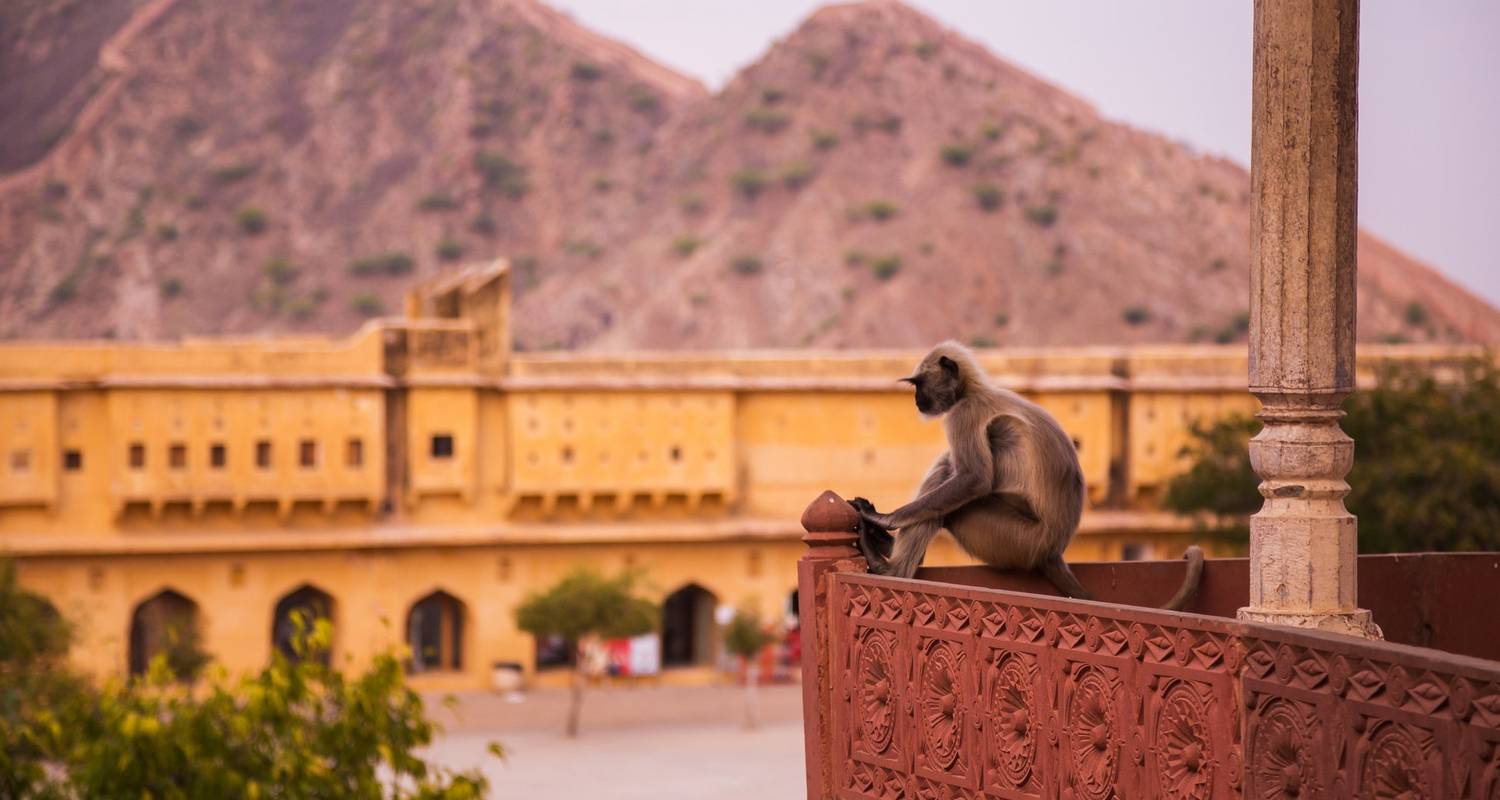 Rajasthan Fort And Palace Tour