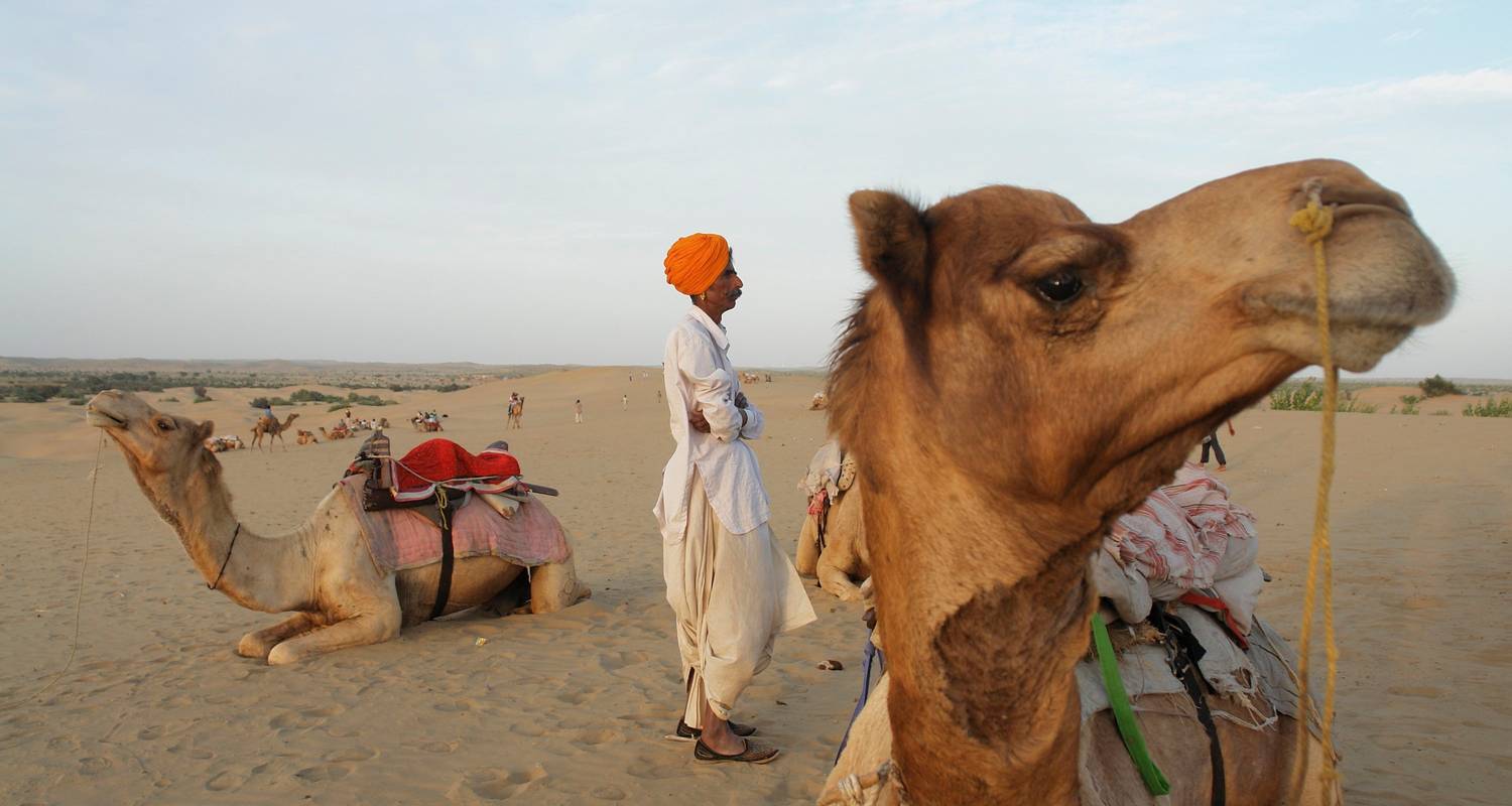 Real Rajasthan