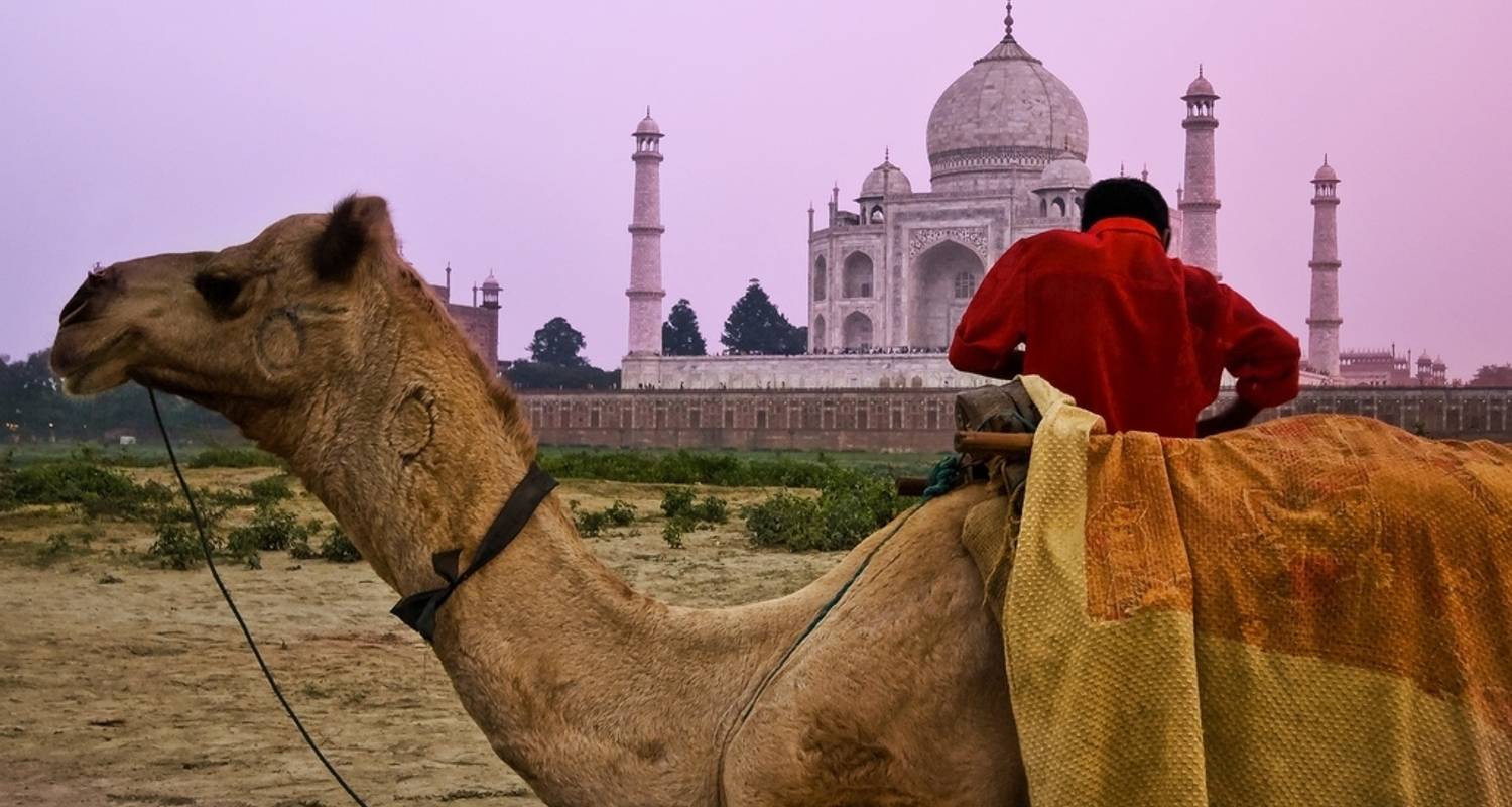 An adventure touring the most emblematic places in India Ultimate North India