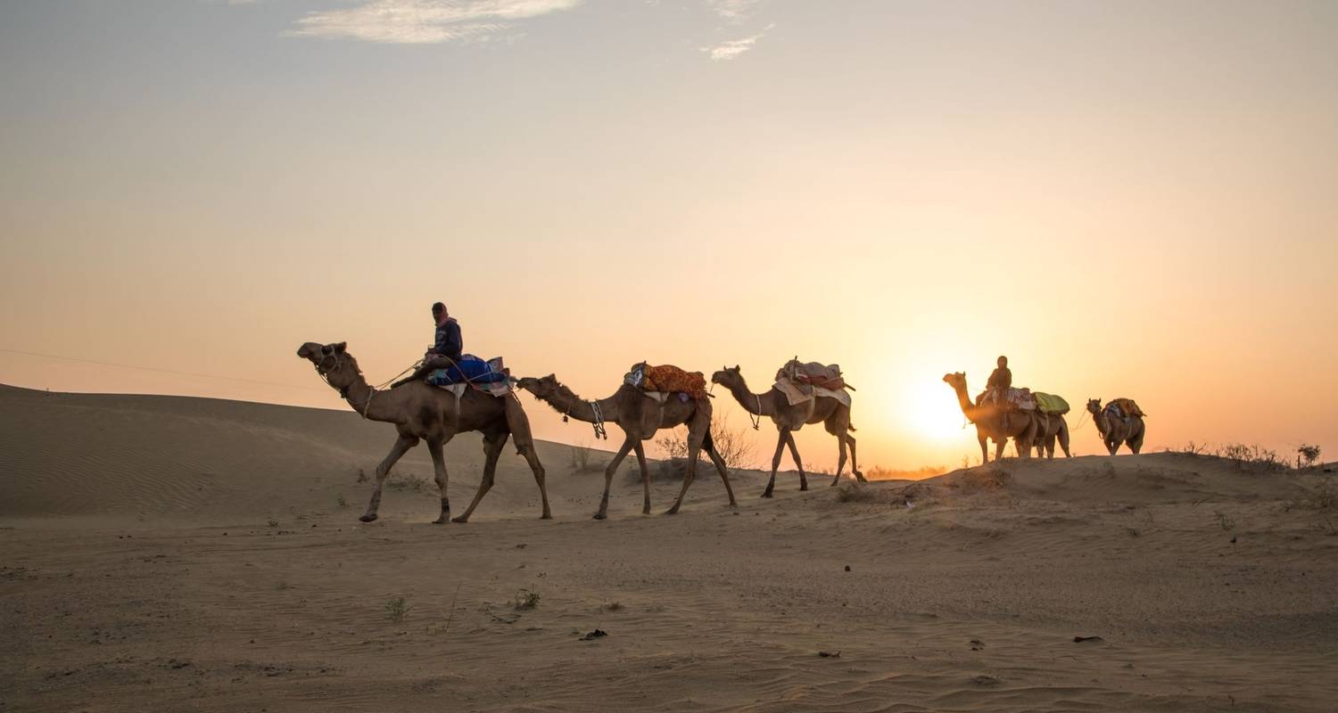 An adventure touring the most emblematic places in India Rajasthan Tour From Delhi