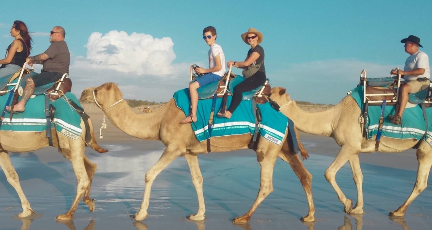 10 Day Royal Rajasthan Tour - Delhi Agra Jaipur Bikaner Jais
