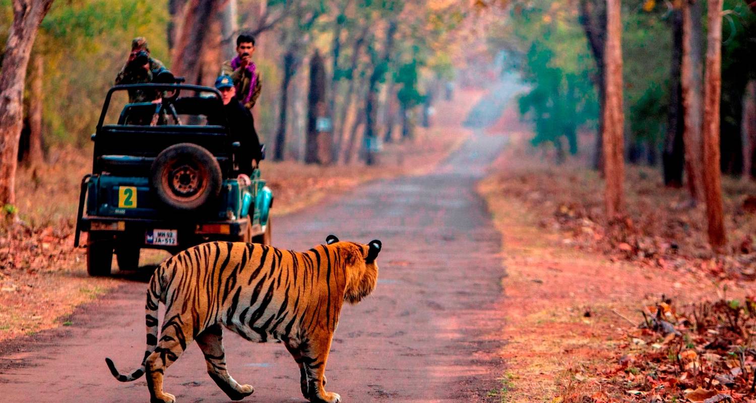 Rajasthan Wildlife Tour From Delhi 9 Nights 10 Day’S