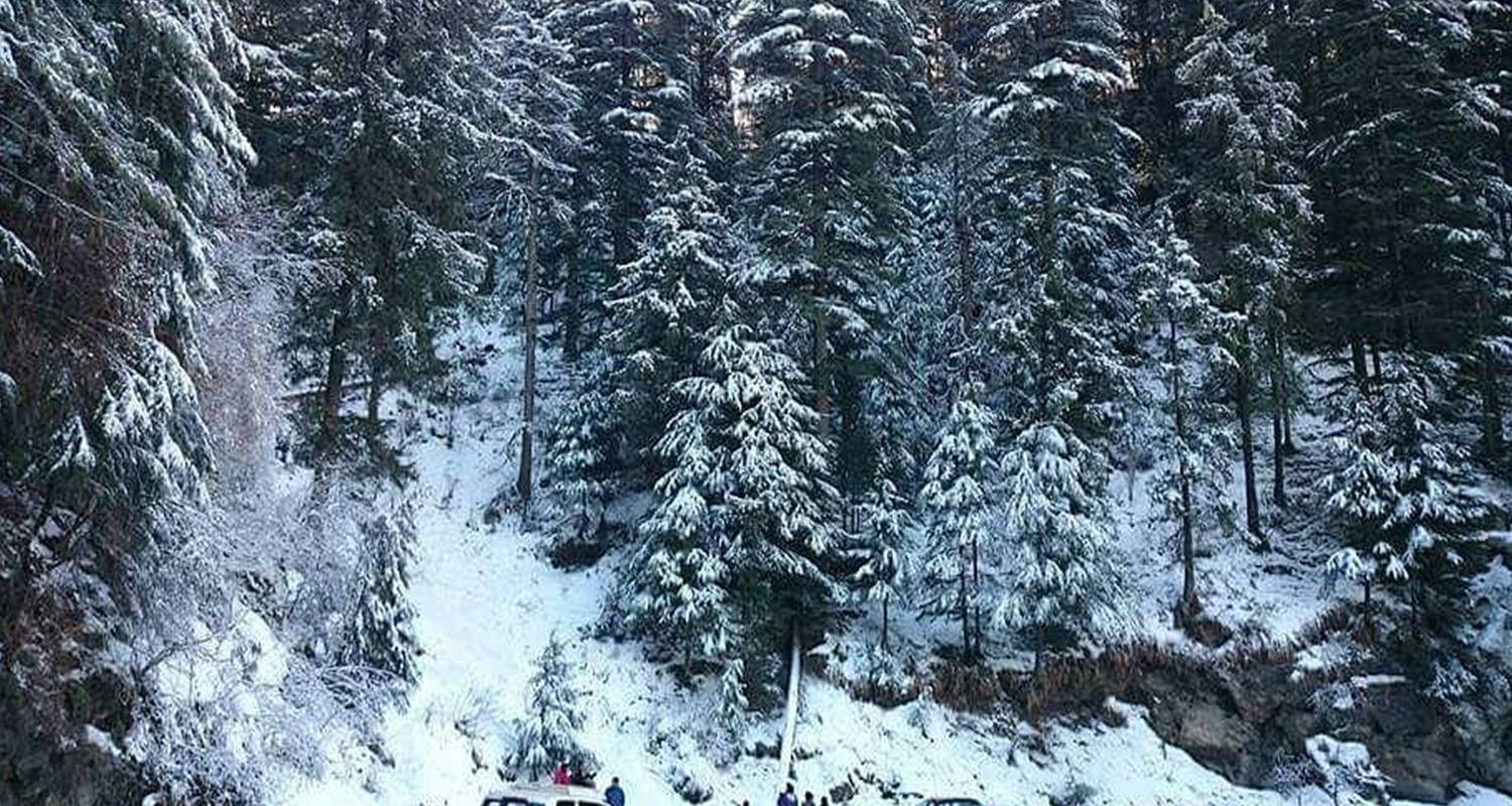 Classical 11 Days Golden Triangle Tour With Shimla And Manal