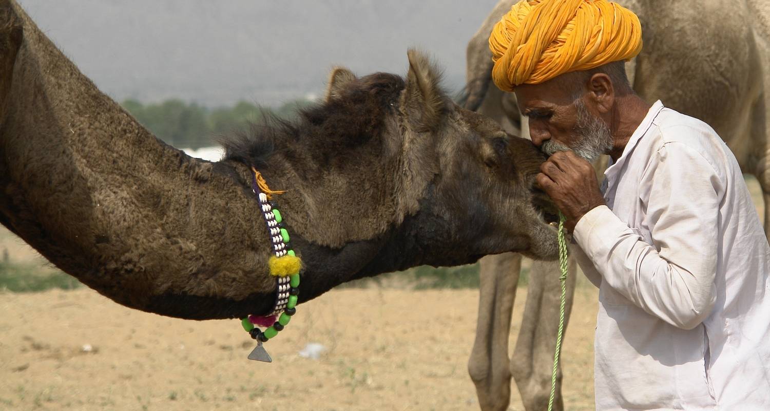Golden Triangle Tour With Pushkar