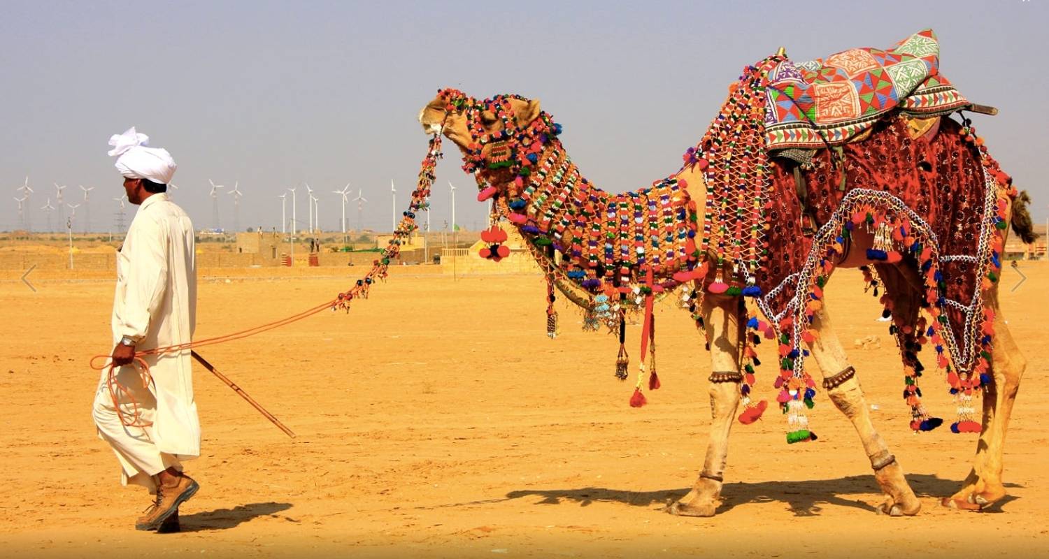 14 Days Rajasthan Tour By Local Trains