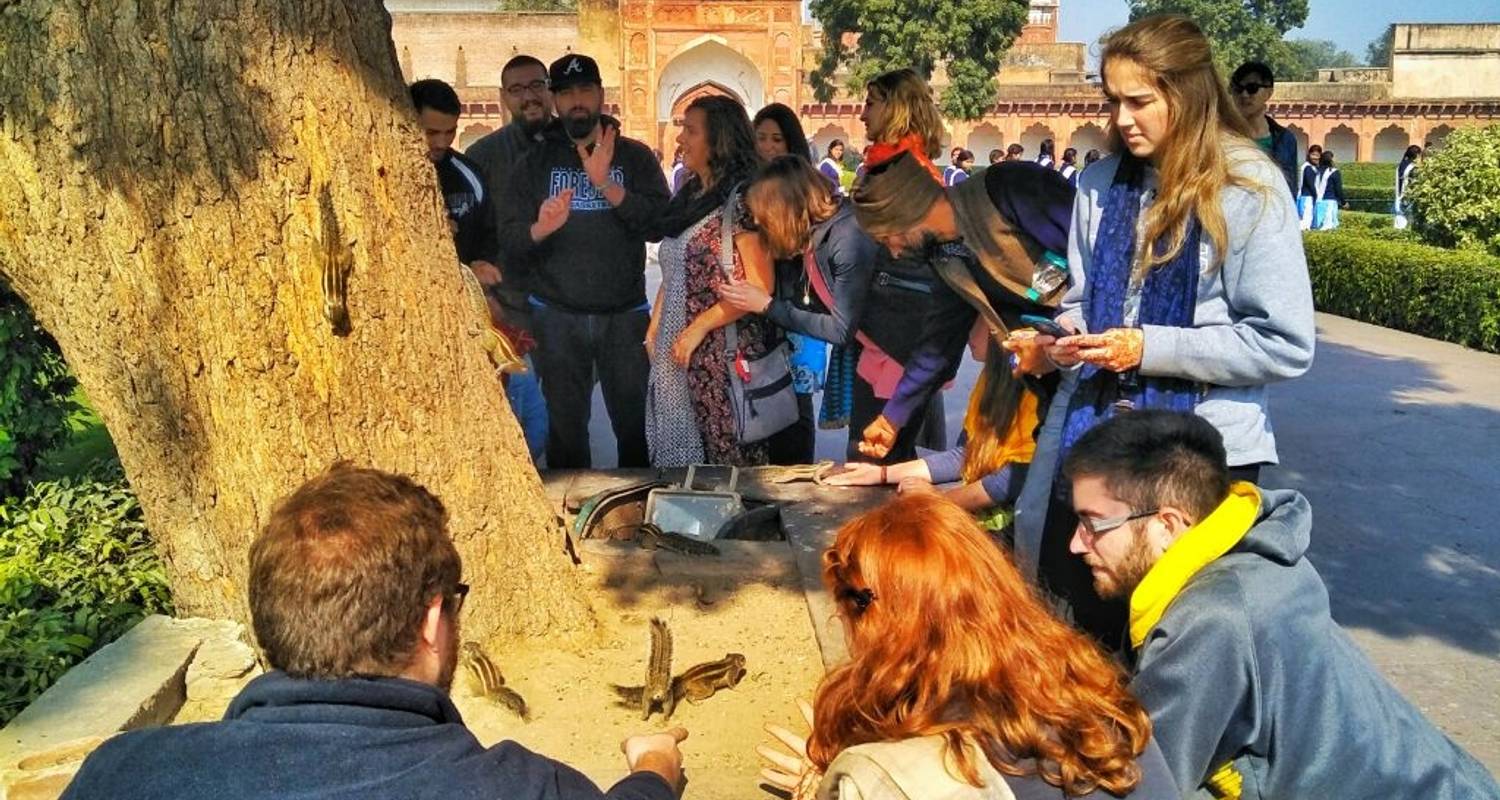 Taj Mahal & Tigers - Golden Triangle India Tour With Rantham