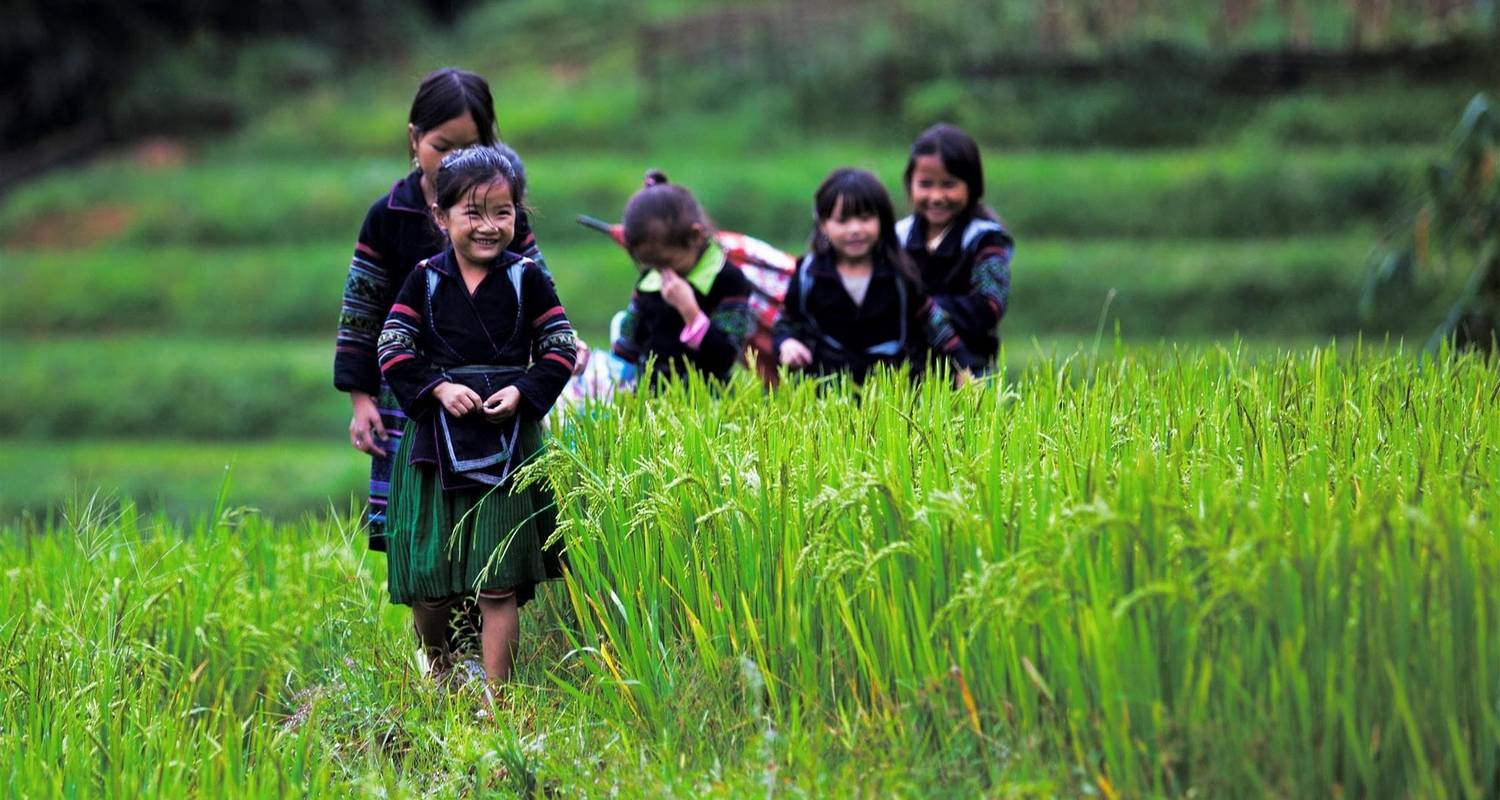 14 Days Vietnam Family Holiday