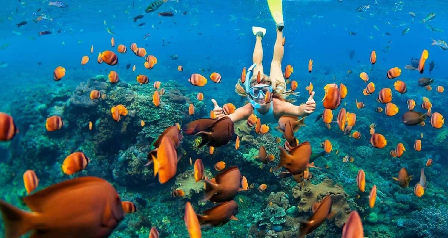 An adventure touring the most emblematic places in Viet Nam Vietnam Beach Vacation In 12 Days - Halong Bay / Phu Quoc Is
