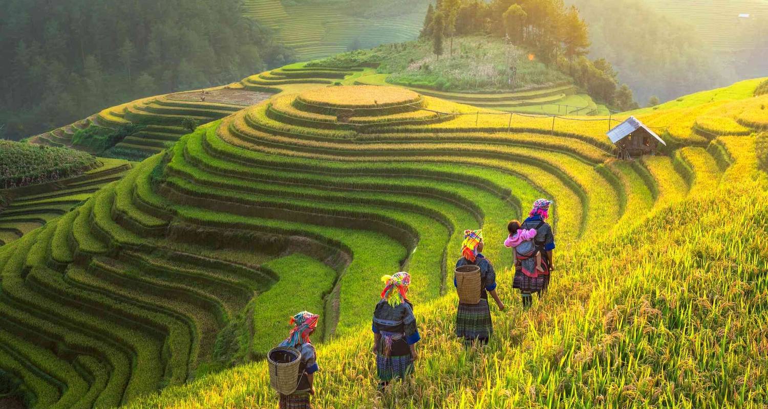 An adventure touring the most emblematic places in Viet Nam Charming Vietnam 12 Days - Sapa / Halong Bay / Mekong Delta