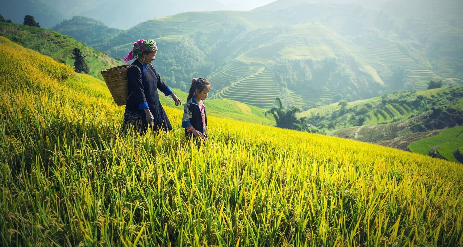 Ultimate 13-Day Vietnam Tour Experience