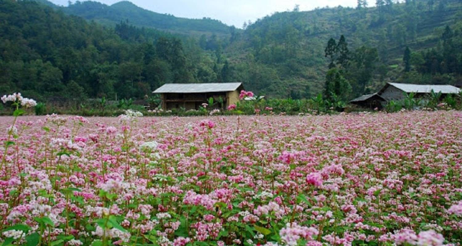 An adventure touring the most emblematic places in Viet Nam Discover Vietnam 14 Days 13 Nights