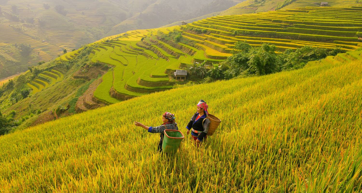 An adventure touring the most emblematic places in Viet Nam Marvellous Vietnam And Cambodia In 11 Days
