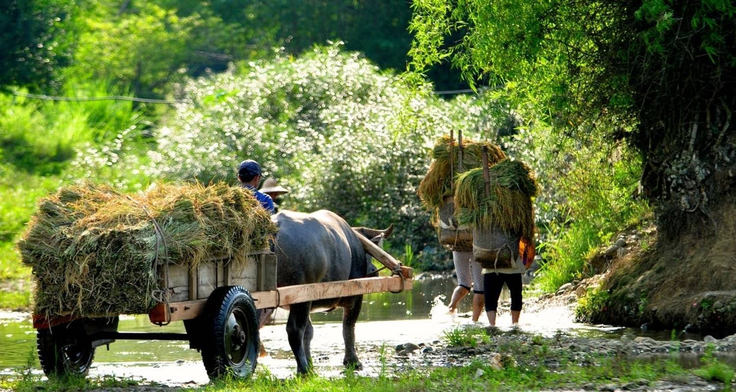 An adventure touring the most emblematic places in Viet Nam Walking In Vietnam + Cambodia Highlights