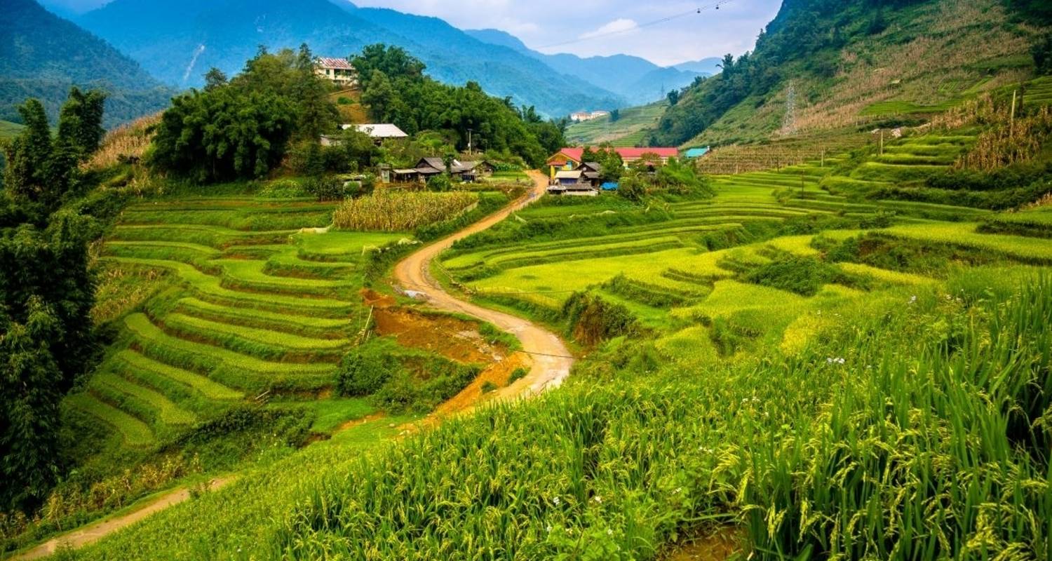Vietnam Northern Tour To Hanoi - Sapa - Halong Bay