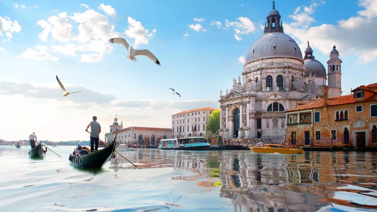 Alpine Region - Venice