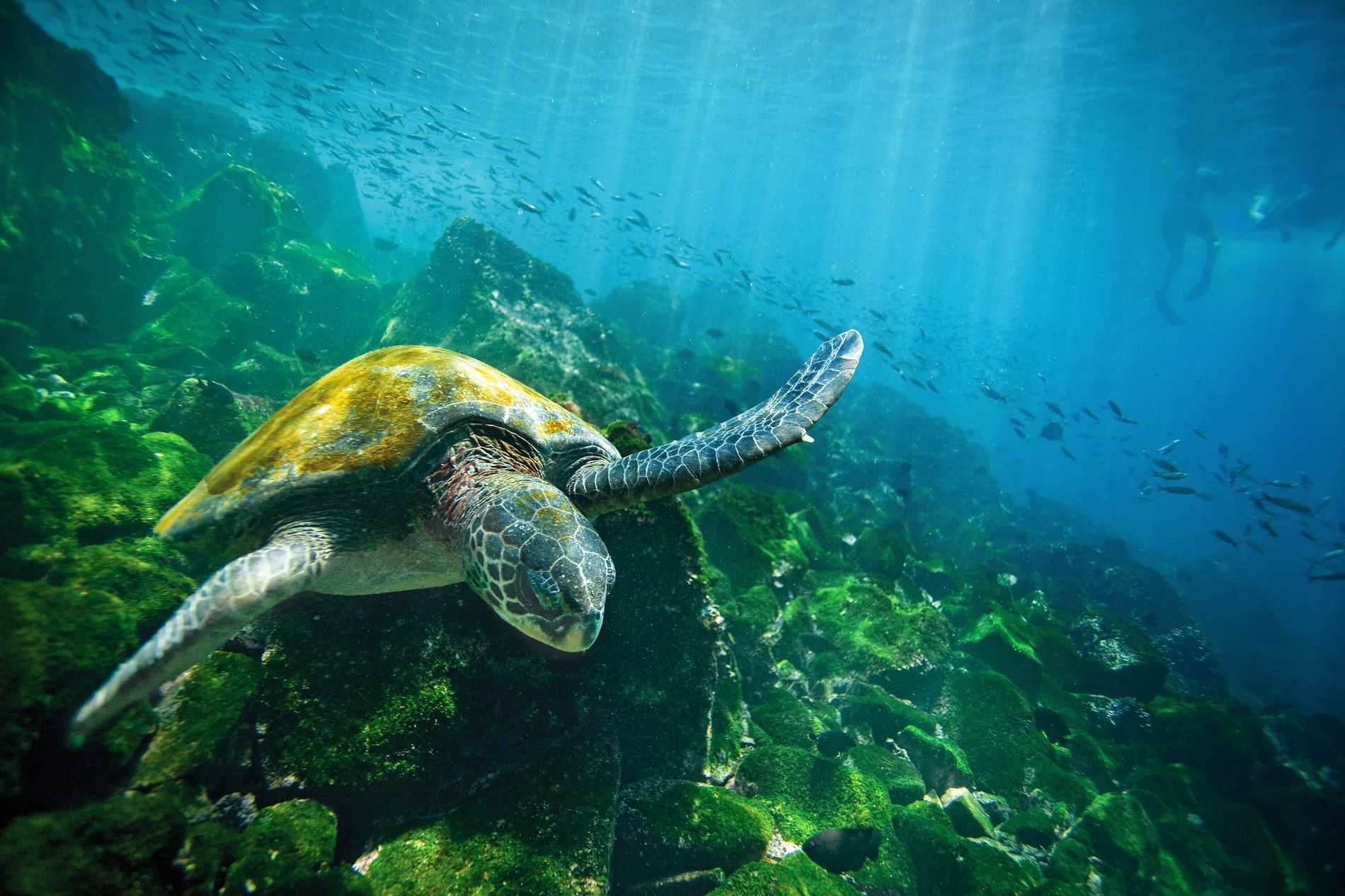 Aventura En Isla Galápagos