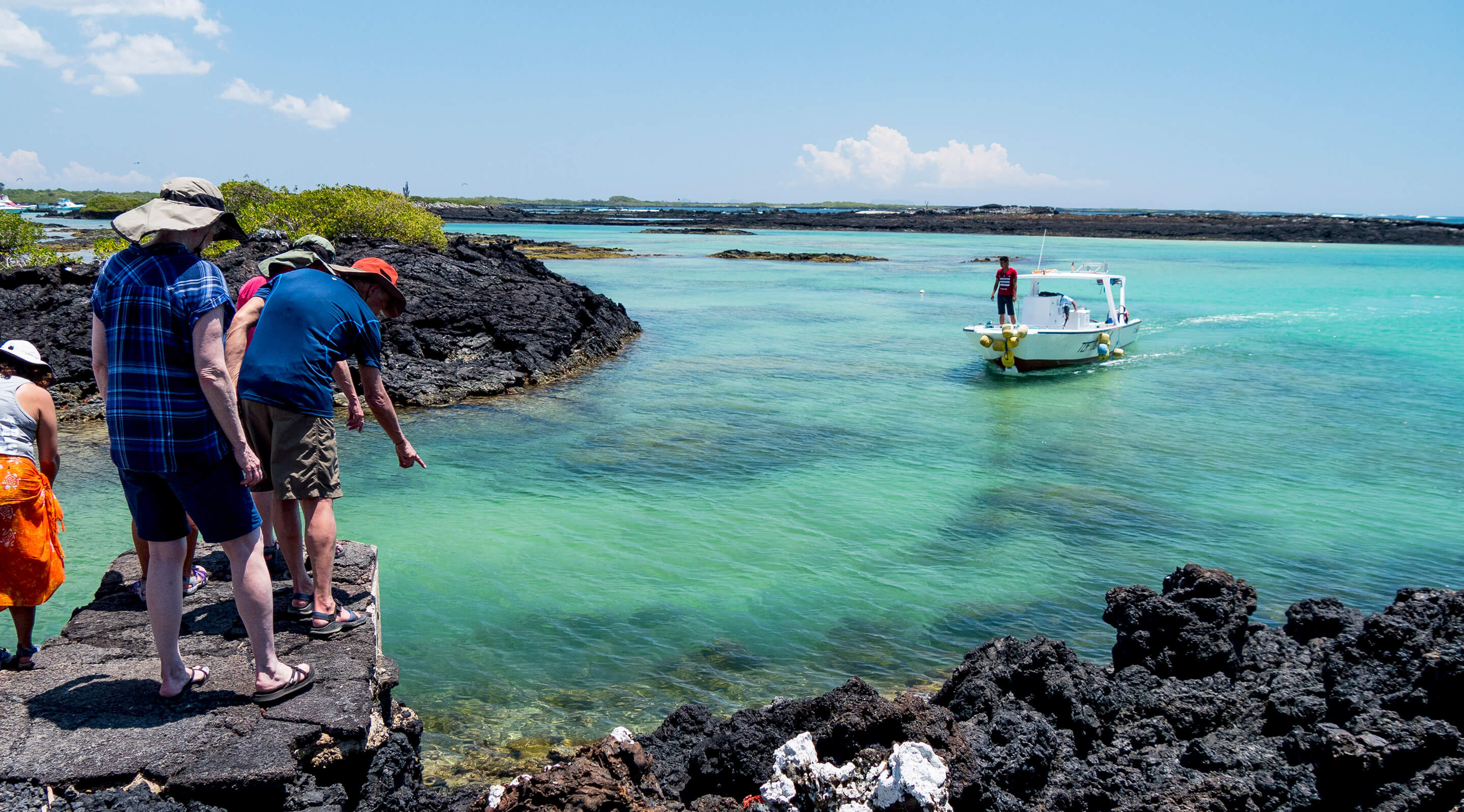 Magic Of Isabela Galapagos Island Localadventures