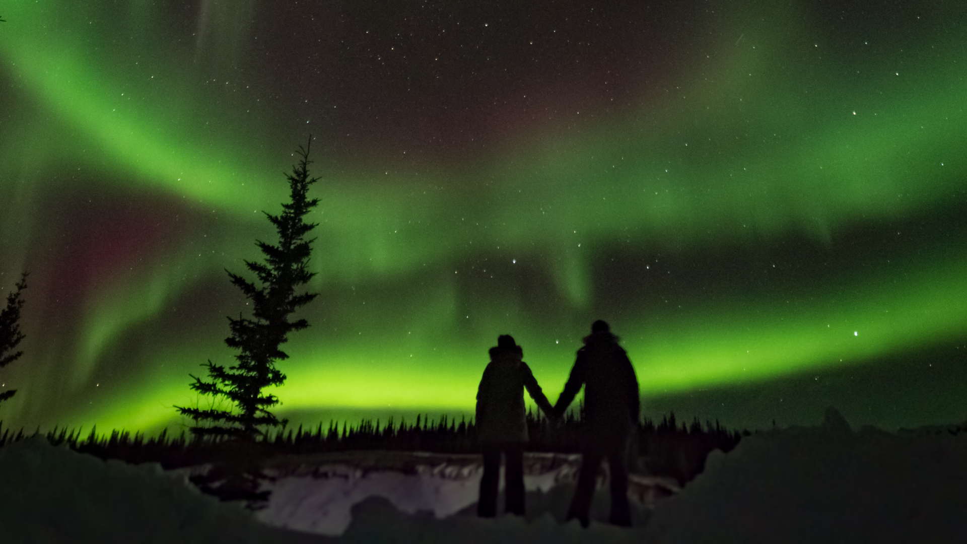 Northern Lights Nights In Canada - Spanish Group
