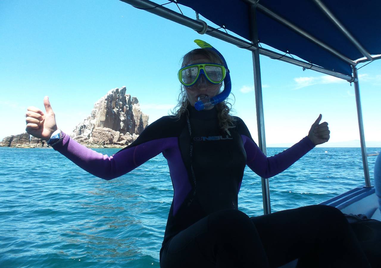 Espiritu Santo Island National Park - La Paz Bay - Los Islotes - Sea Lion Interaction. Photo 3