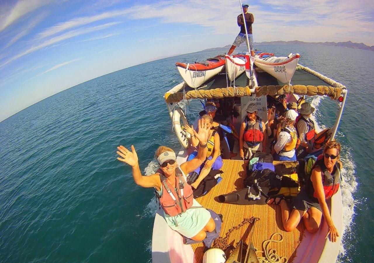 Swim with Whale Sharks - Balandra Bay Beach - Snorkel with Sea Lions. Photo 1