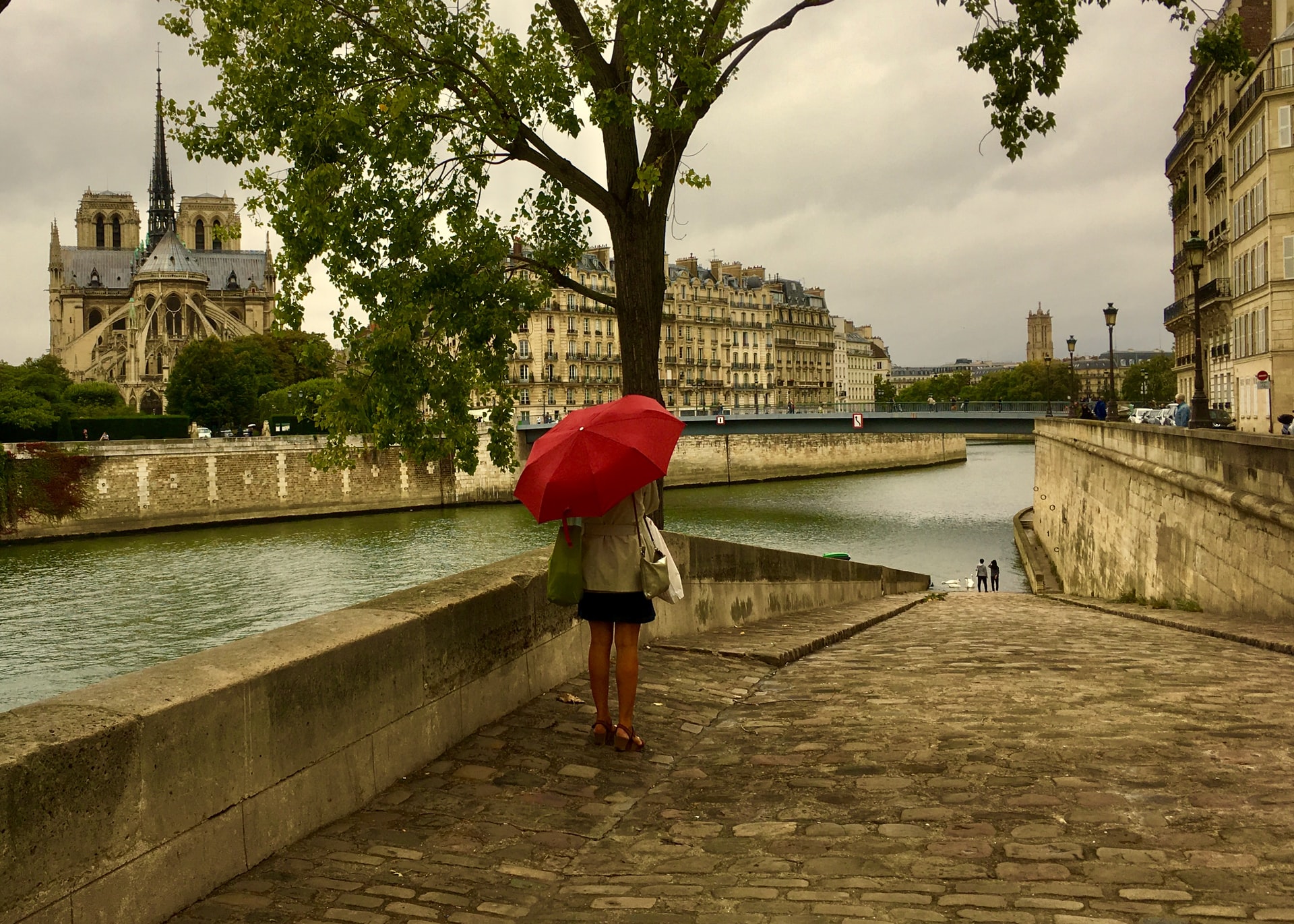 Paris - Free Day. Photo 3