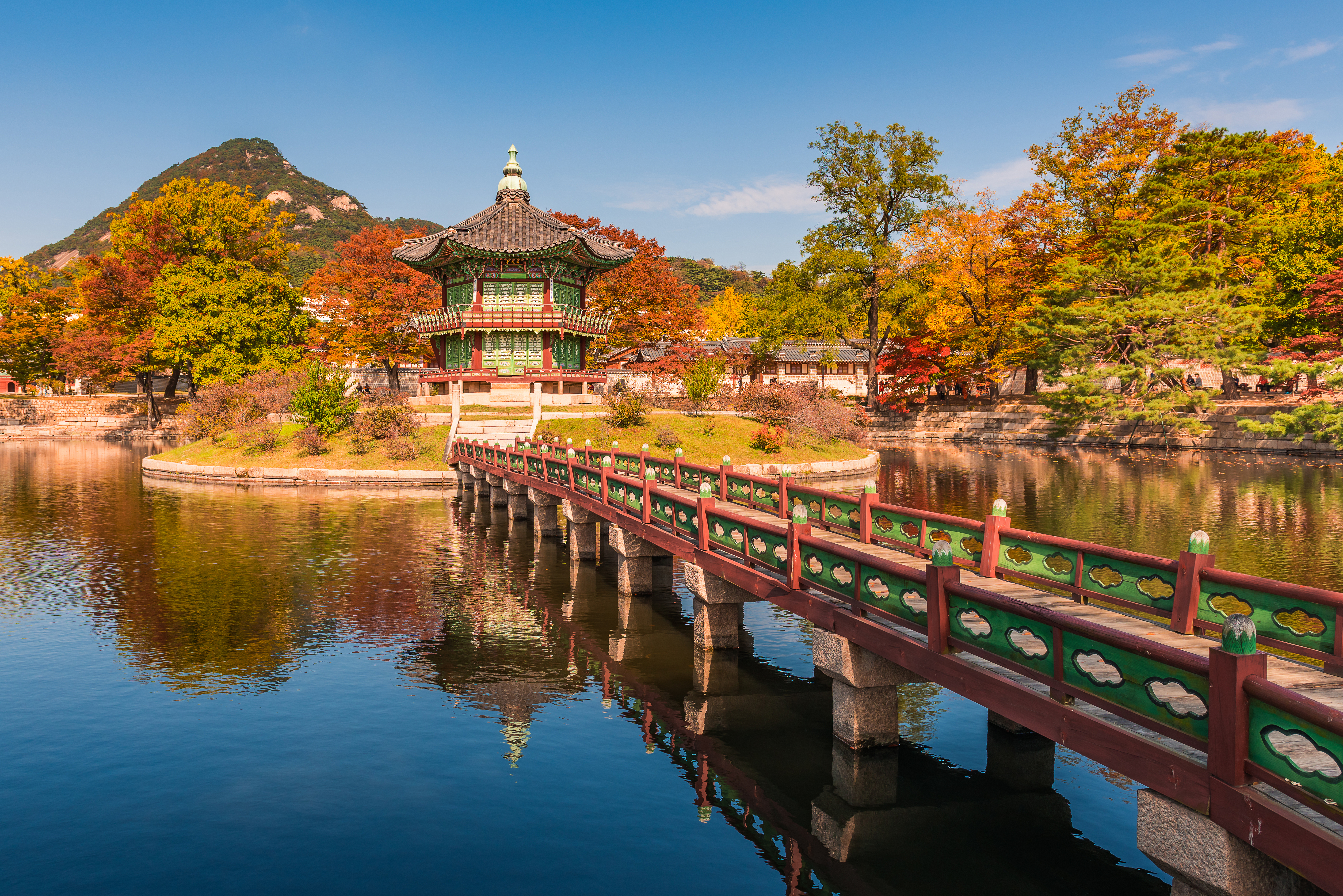 Live South Korea