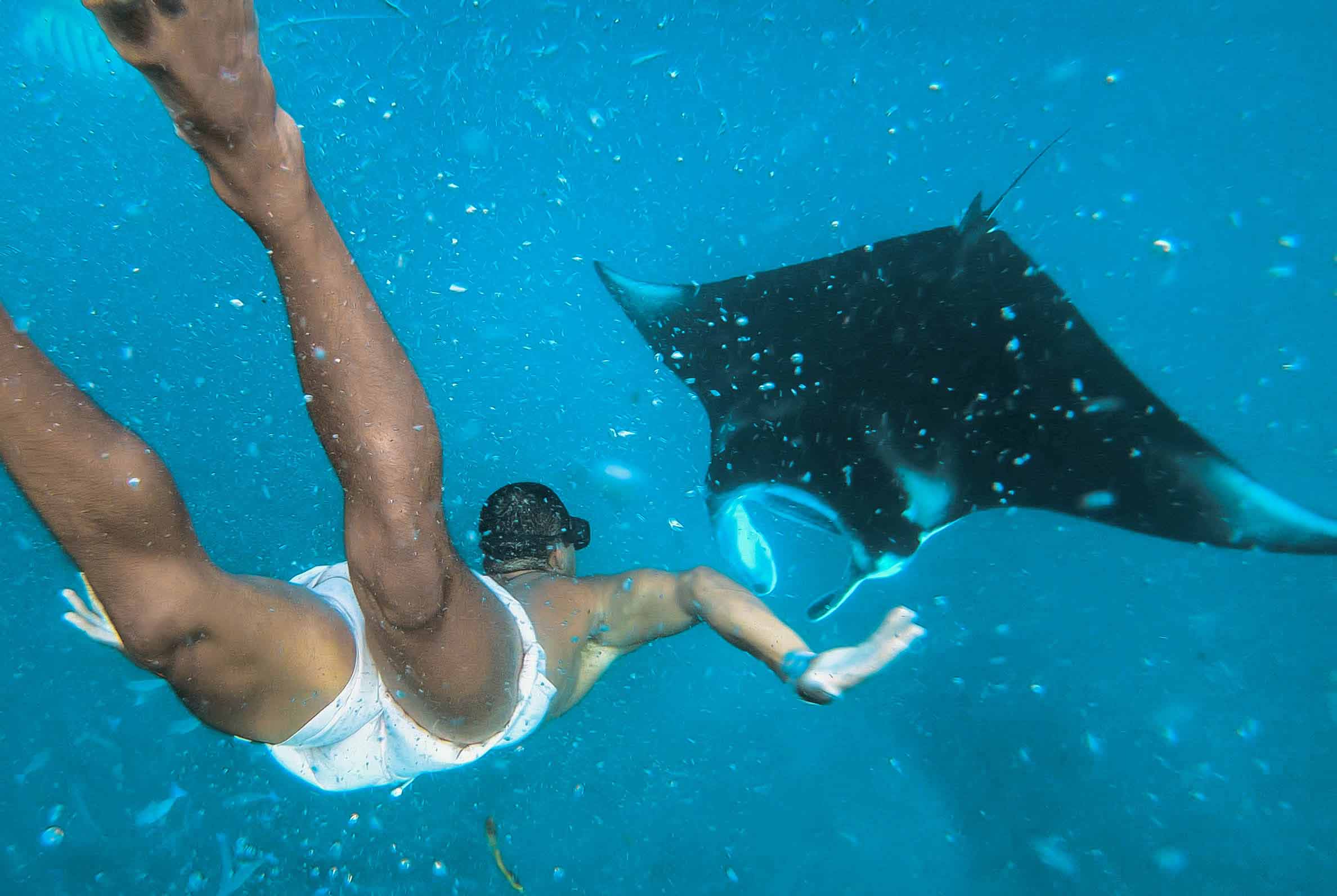 Tour en bote- snorkel