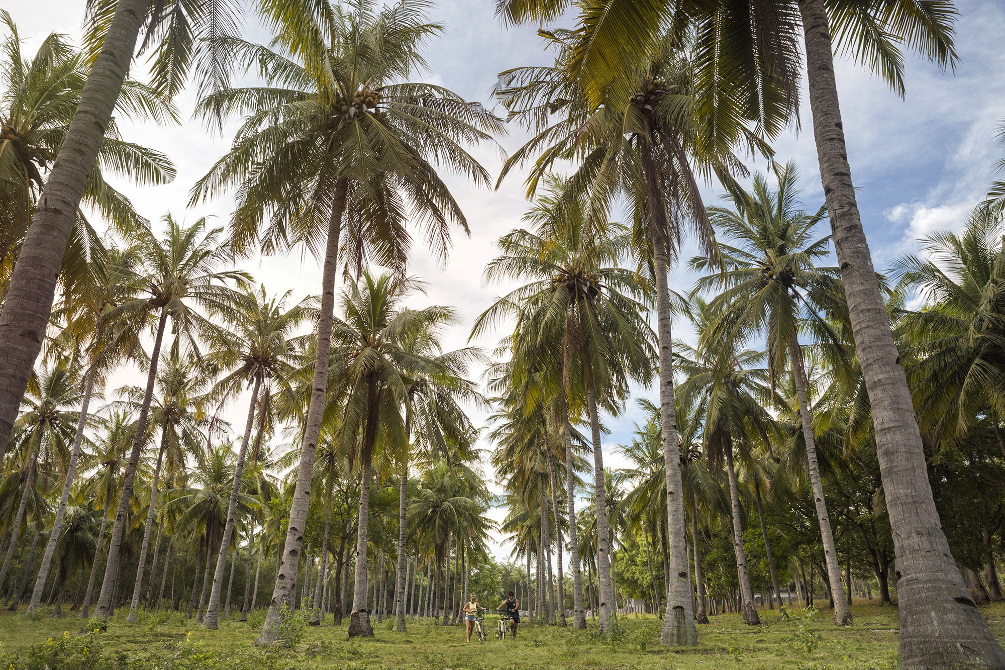 Gili Trawangan (Island bike tour)