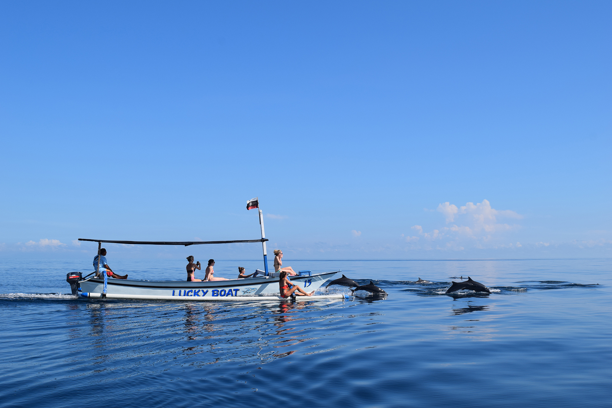Delfines- visita a familia local