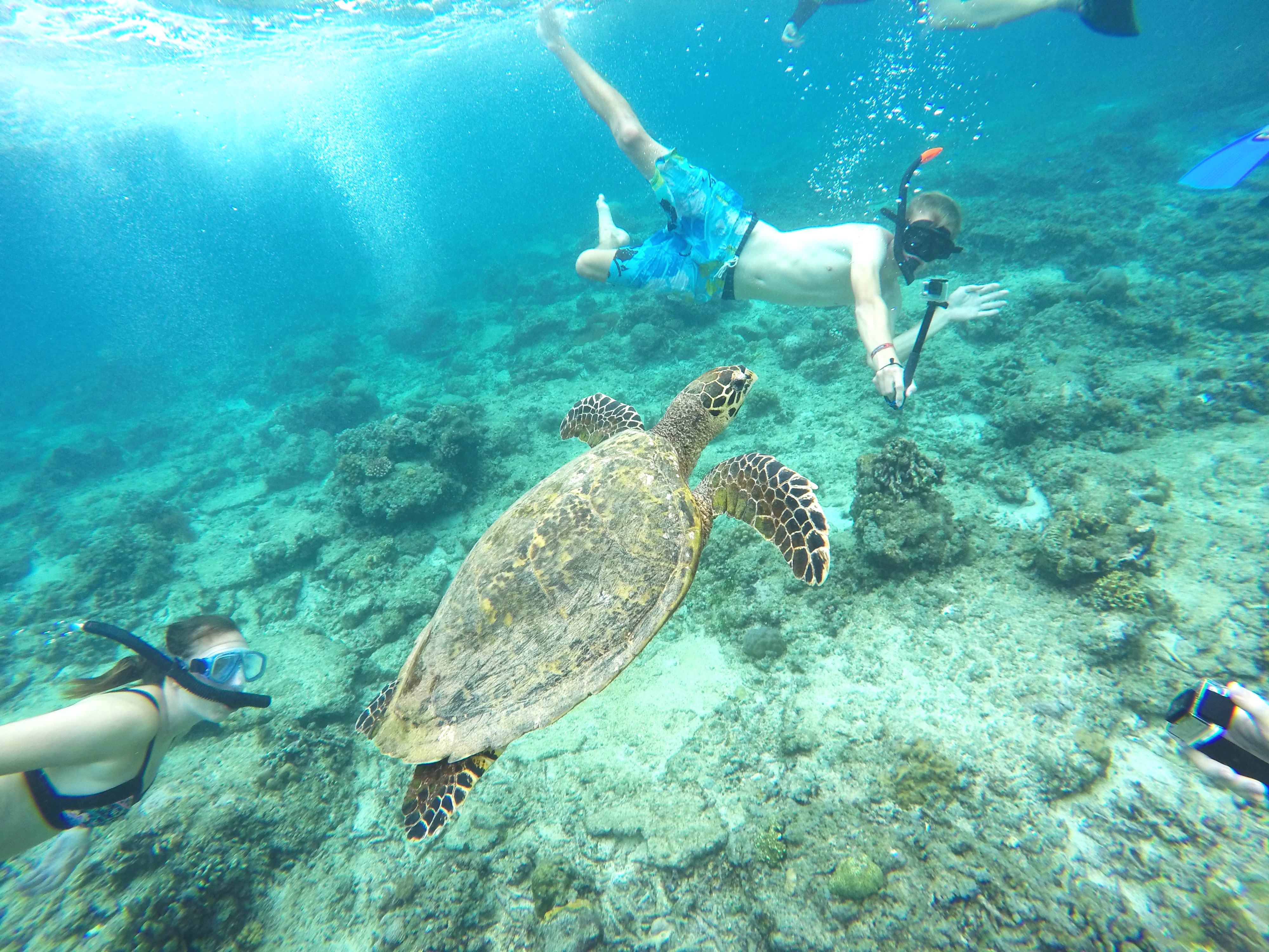 Gili Trawangan (Snorkel)