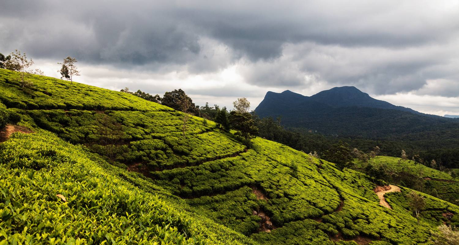 Sri Lanka 6 Days Itinerary