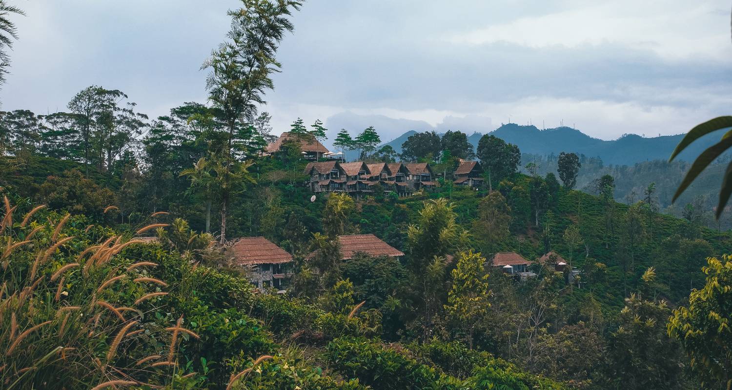 Splendour Of Sri Lanka -   ( 8 Days And 7 Nights Tour In Sri