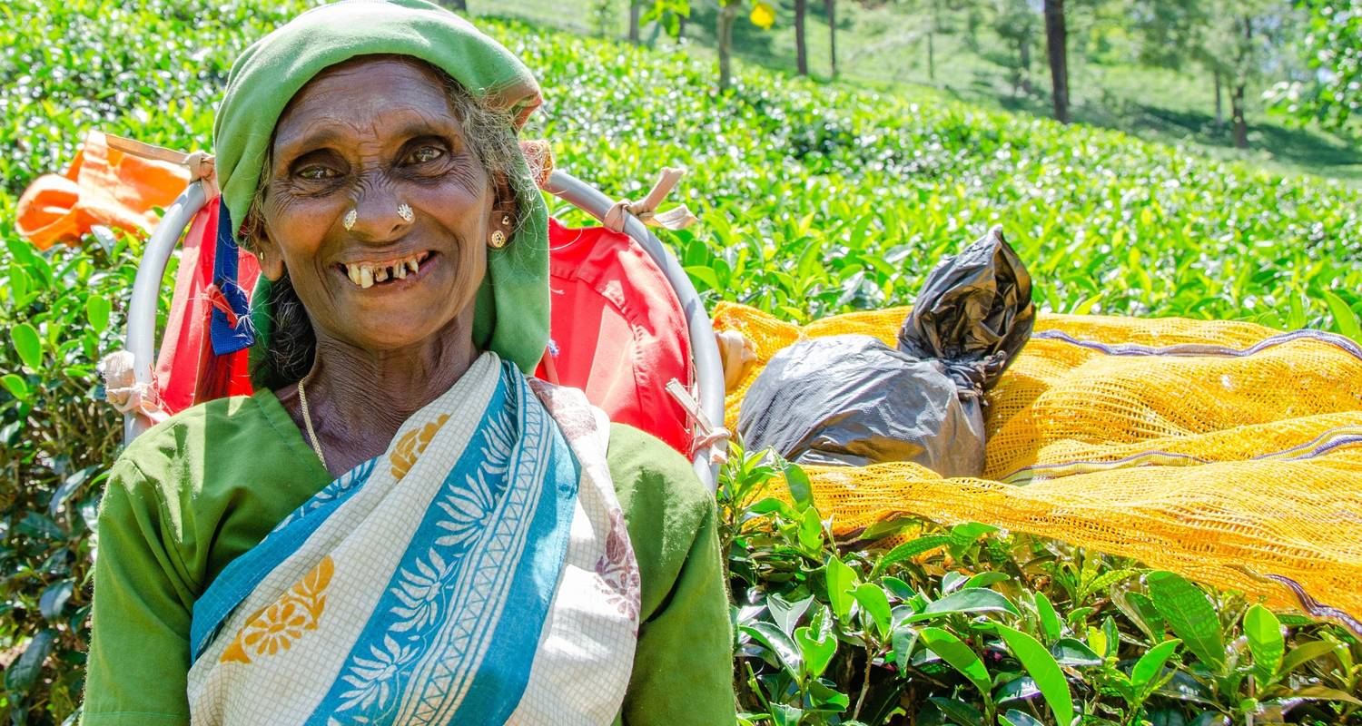 Sri Lanka 3 Day Trip