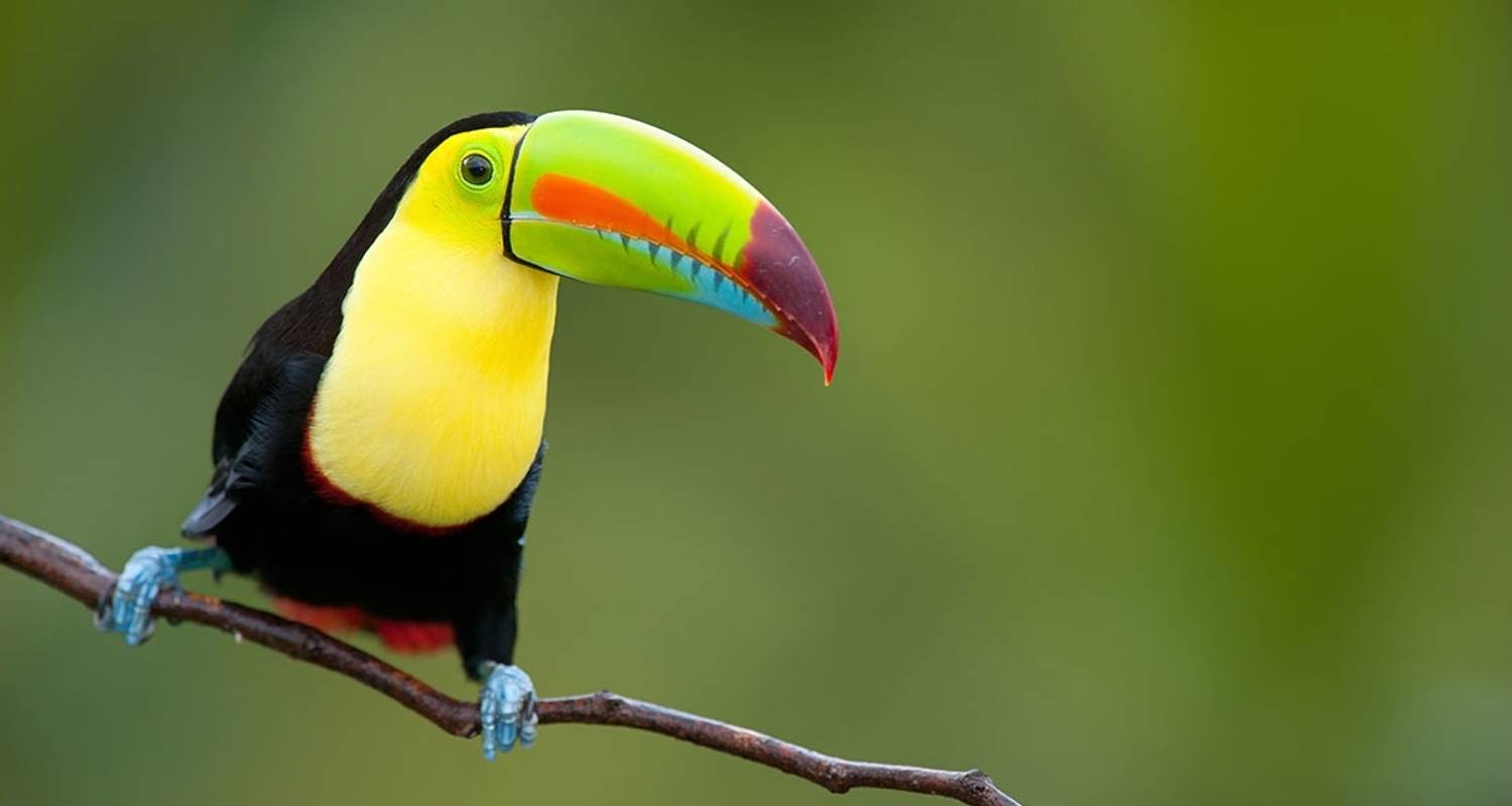 One Week In Costa Rica