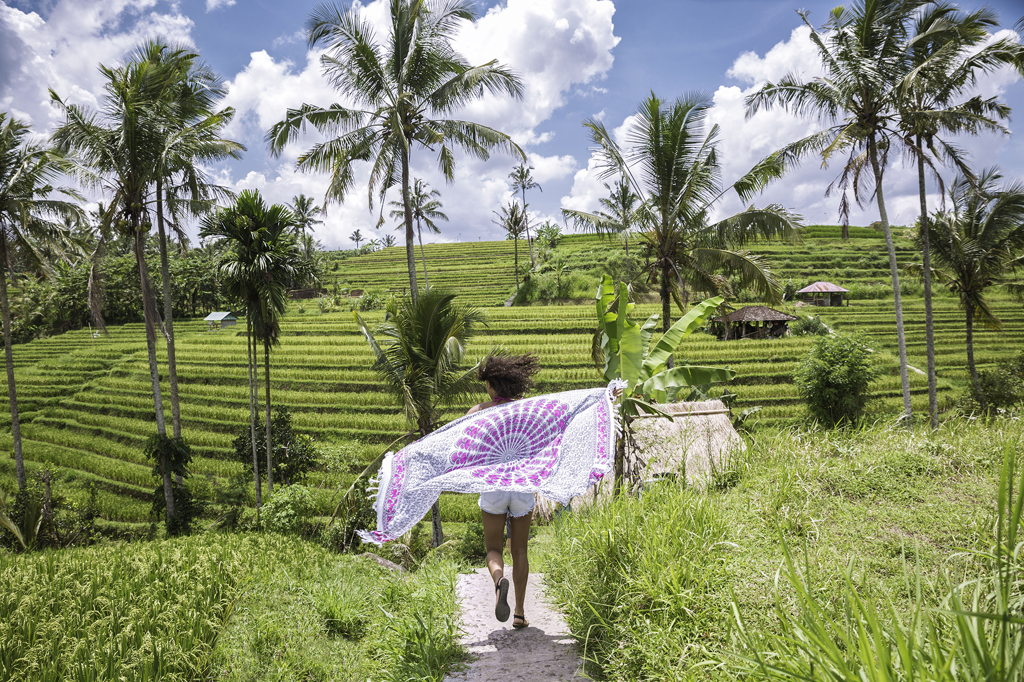 Canggu- Lovina (Temples- Rice Paddies- Waterfalls)