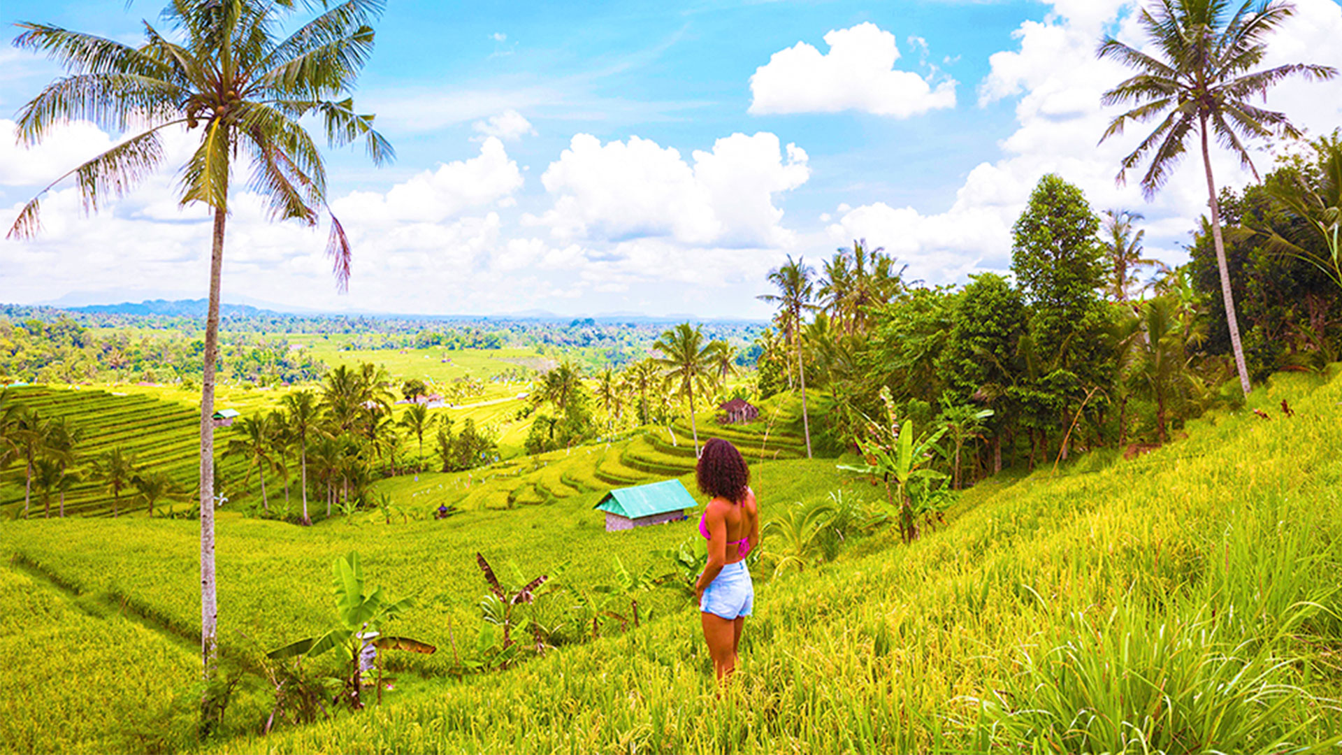 Premium Experience In Bali
