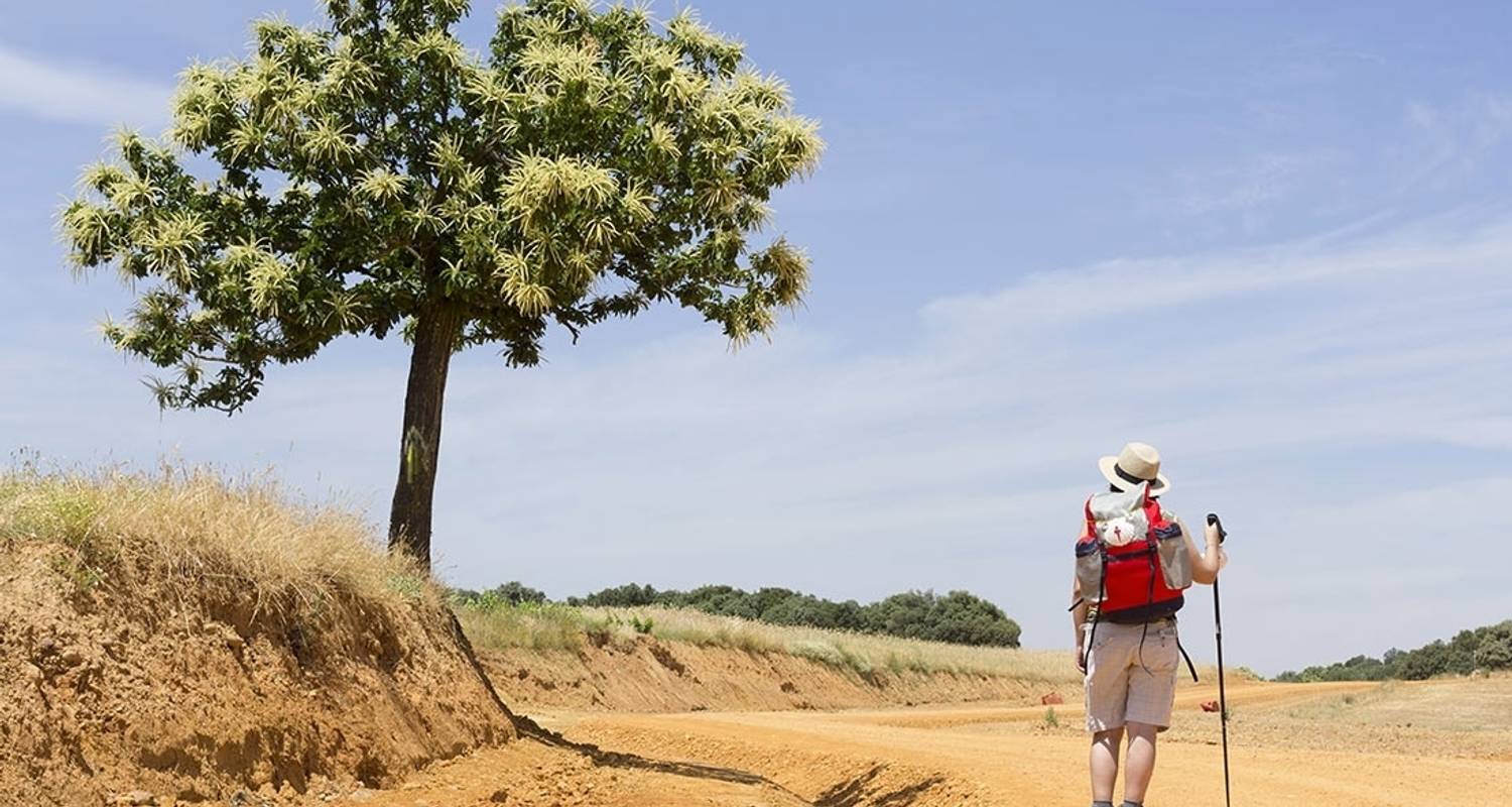 An adventure touring the most emblematic places in Spain Walk The Camino De Santiago