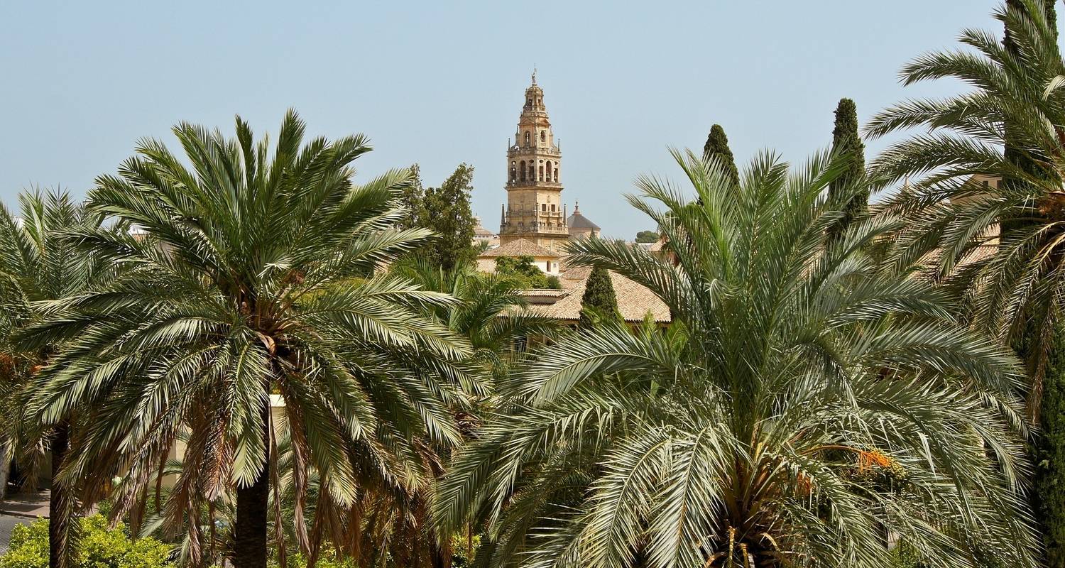 An adventure touring the most emblematic places in Spain Cordoba, Seville & Costa Del Sol