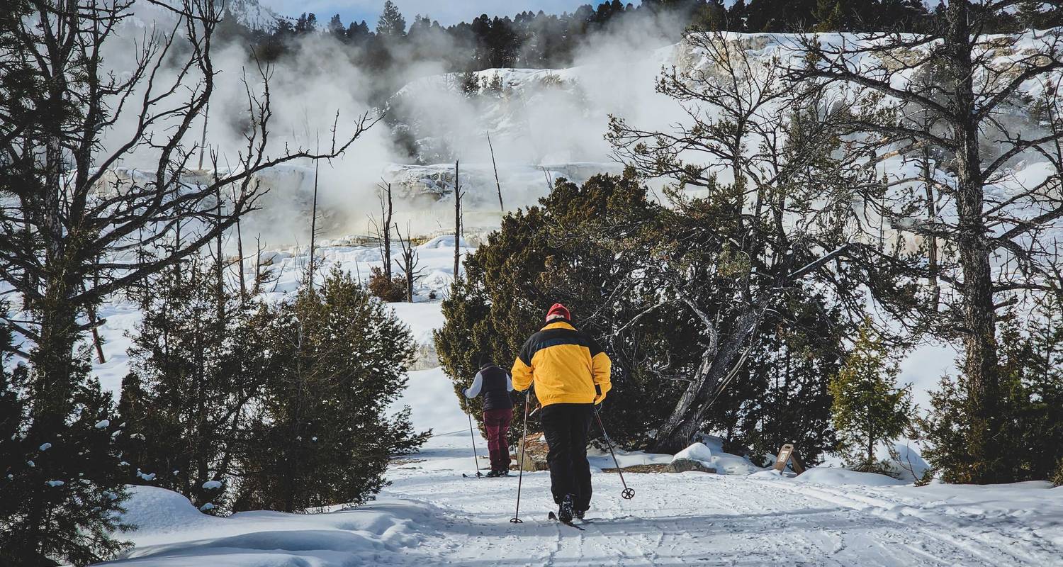6 Day Yellowstone Winter Wonderland Tour