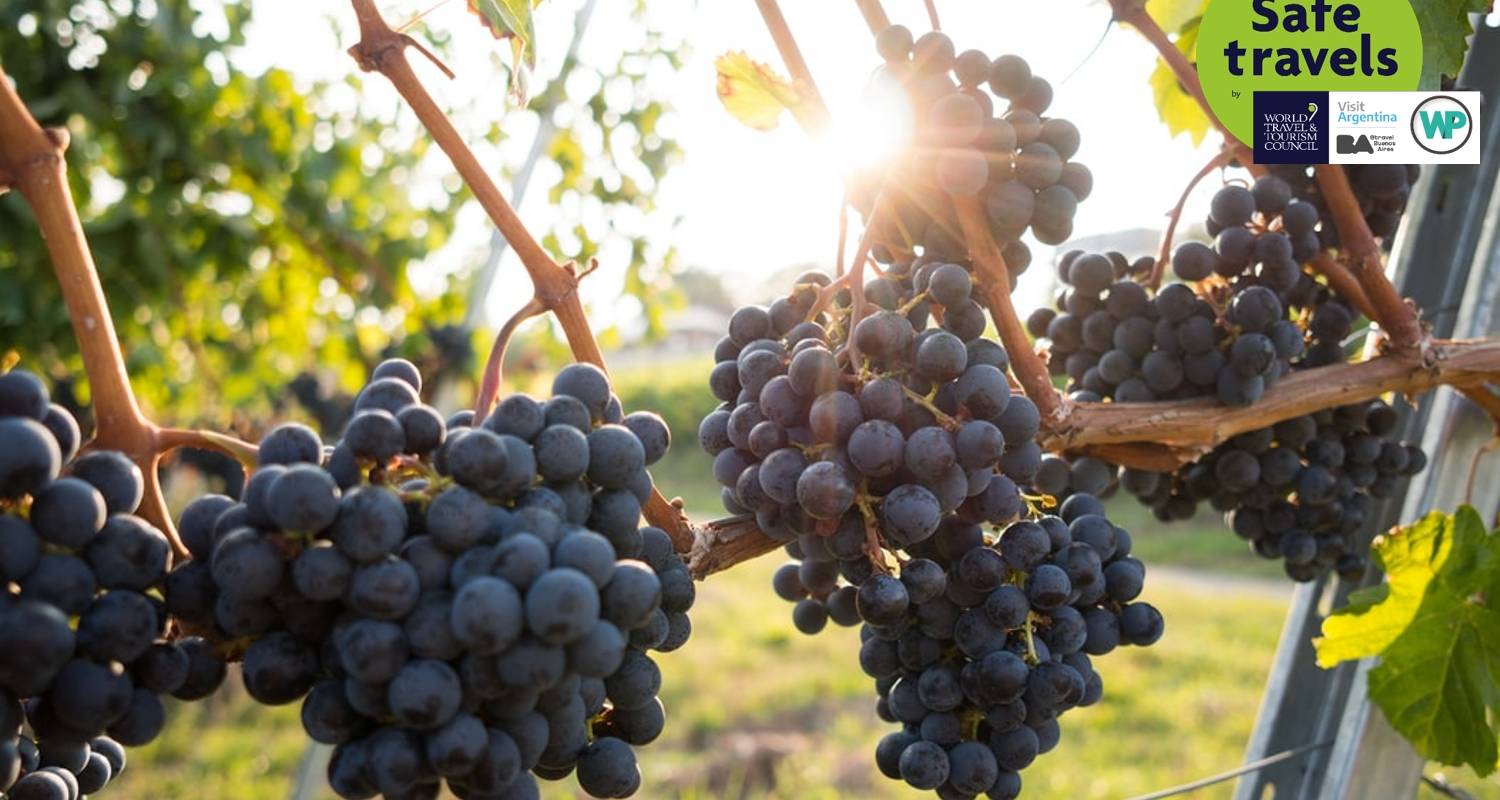 Wines And High Mountains: Salta & Mendoza