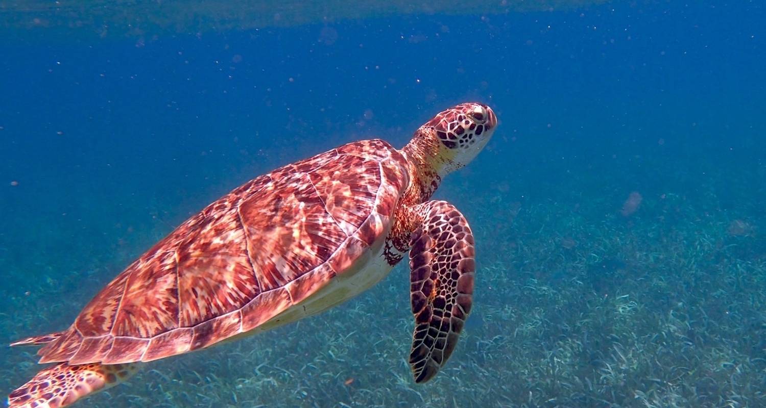 Belize Highlights Adventure  10 Days /9Nights