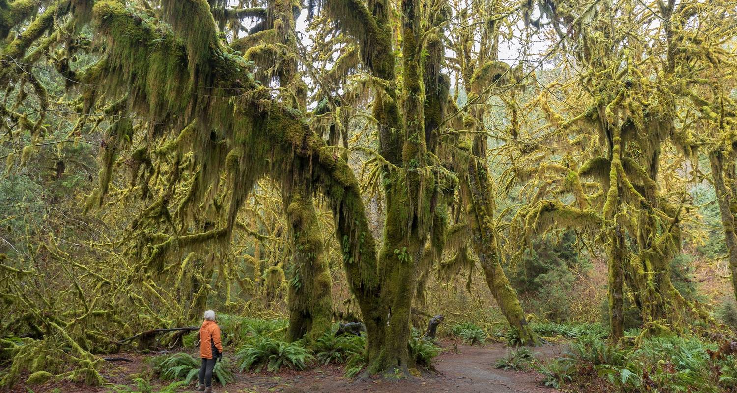 Discover The Pacific Northwest