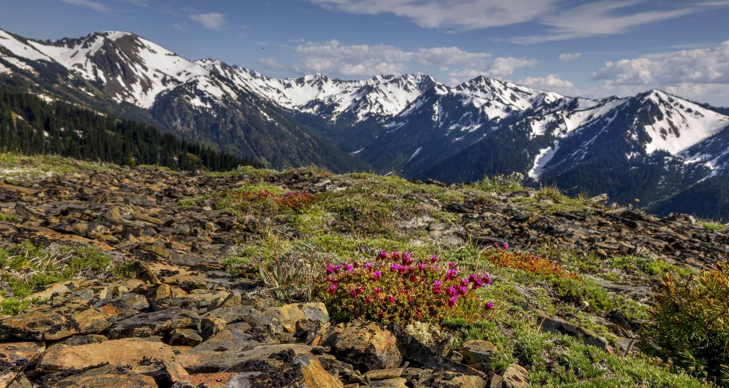 Best Of Northern Rockies & The Pacific Northwest