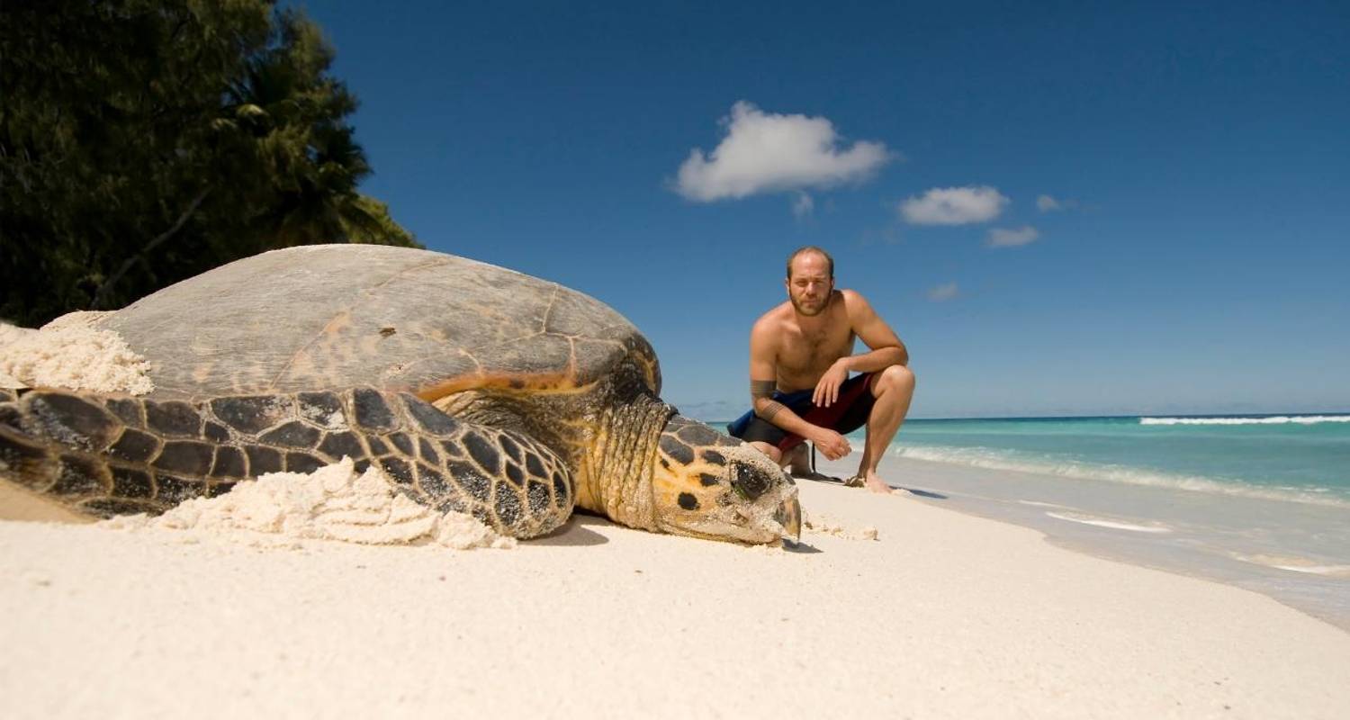 Costa Rica – The Sea Turtle Initiative
