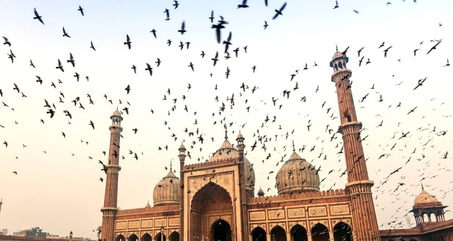 India Golden Triangle Holiday With 5 Star Stay, Breakfast, S