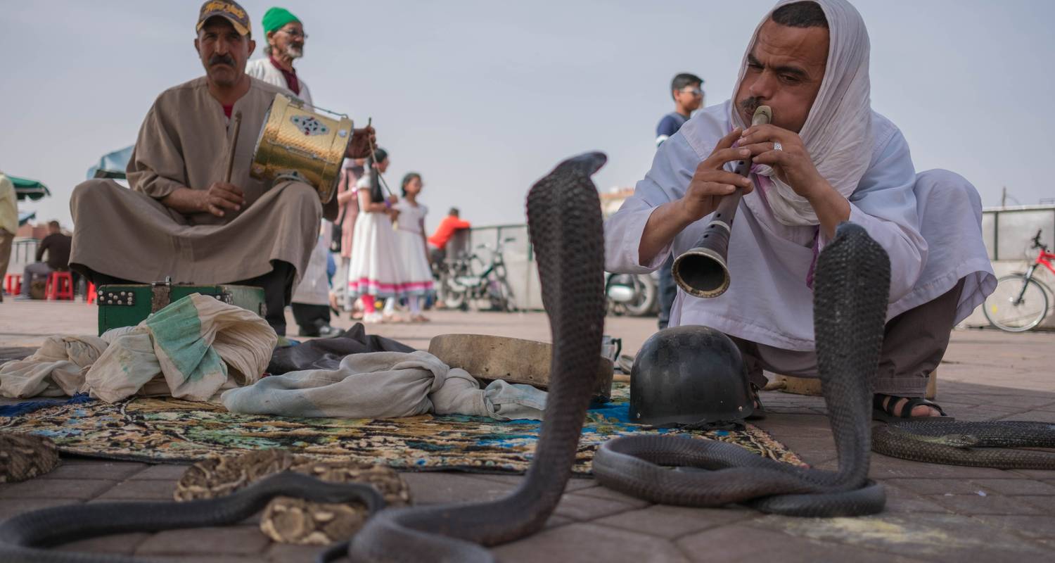 12 Day Tour From Casablanca. Highlights Of Morocco.