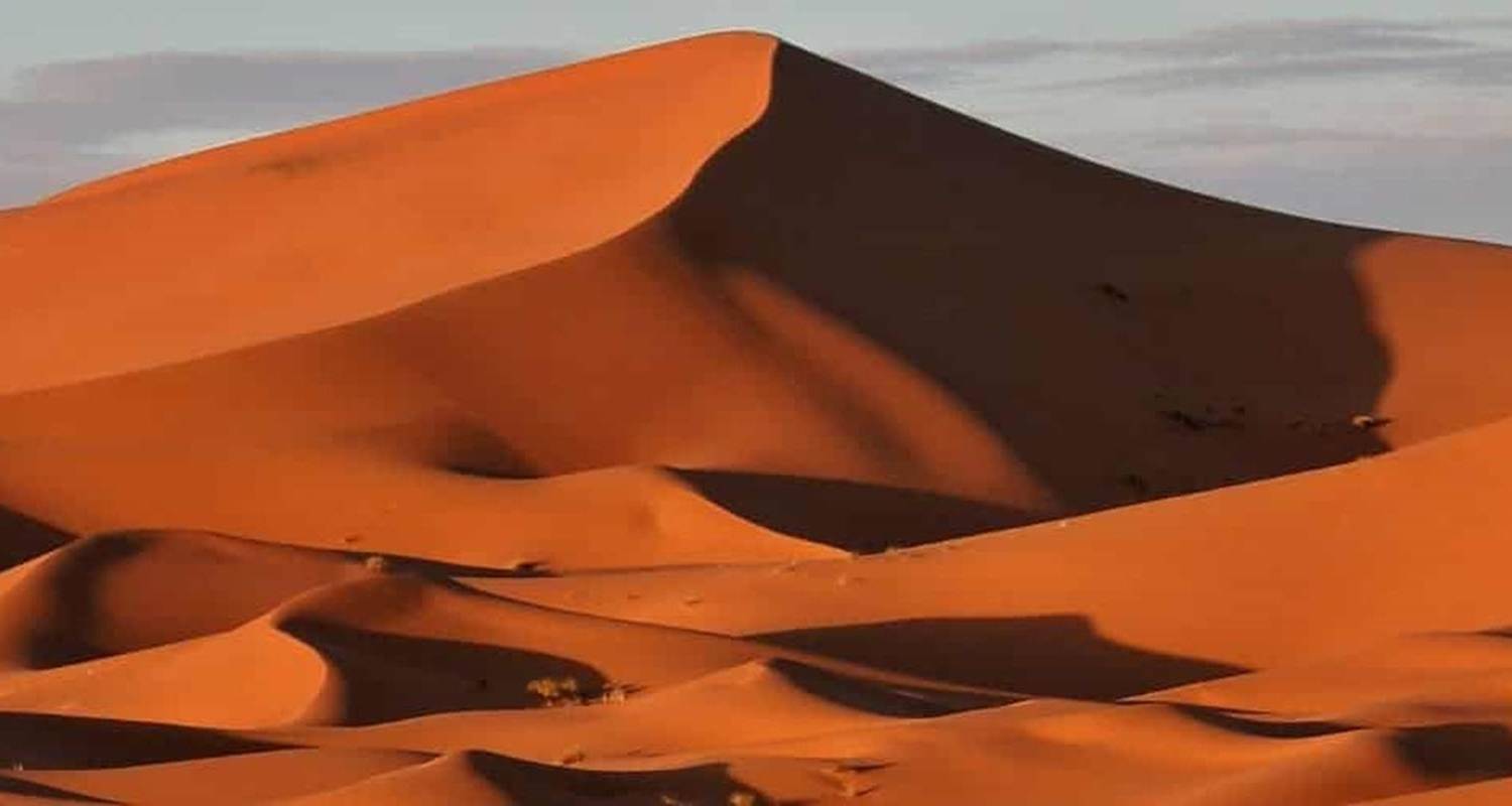 Savor Of Morocco